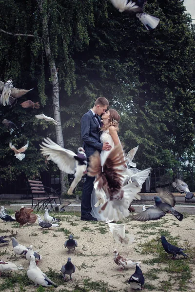Dois amantes no parque entre pombos voadores . — Fotografia de Stock
