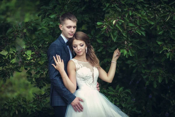 Passeio de casamento. Recém-casados perto da árvore verde — Fotografia de Stock