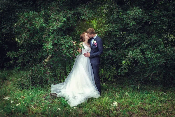 Esküvői séta. Friss házasok a zöld fa mellett — Stock Fotó