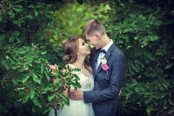 Passeio de casamento. Recém-casados perto da árvore verde — Fotografia de Stock