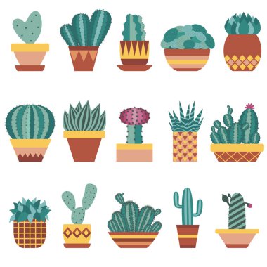 Kaktüs ans Succulents saksı içinde ayarla
