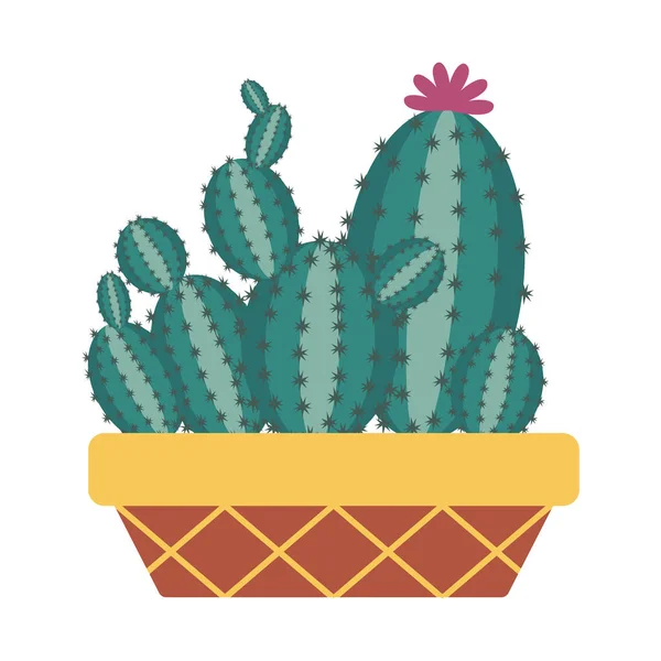 Hem kaktus-ikonen — Stock vektor