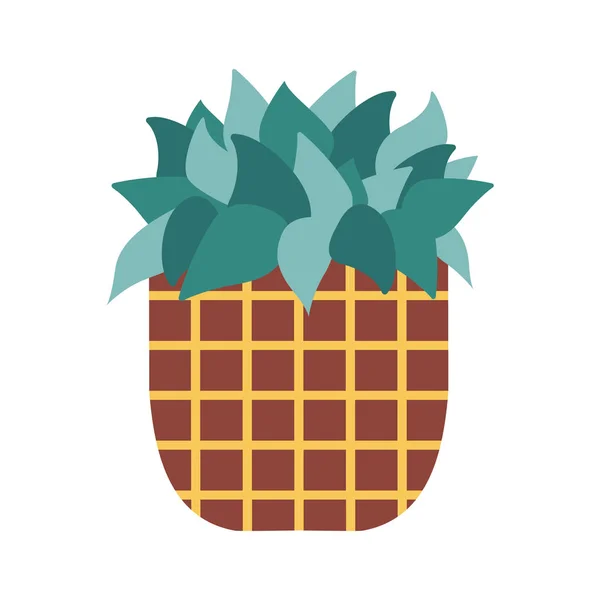 Inicio Cactus Icono — Vector de stock