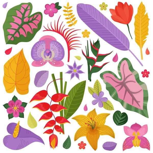 Exotic Tropical Flowers and Leaves Collection