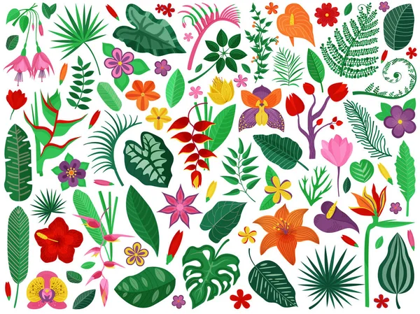 Colección de flores y hojas del bosque lluvioso — Vector de stock