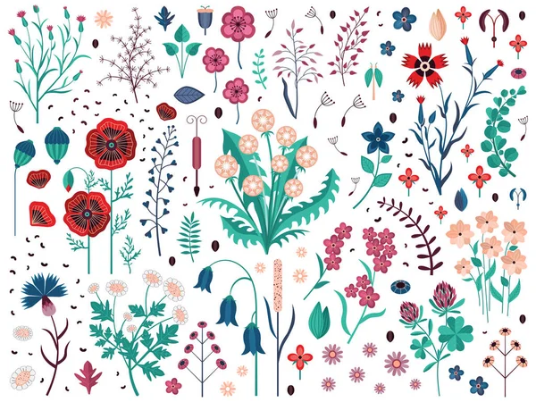 Yaban Çiçekleri Bitkileri ve Tarla Bitkileri