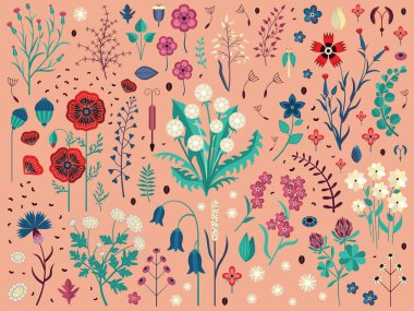 Yaban Çiçekleri Bitkileri ve Tarla Bitkileri