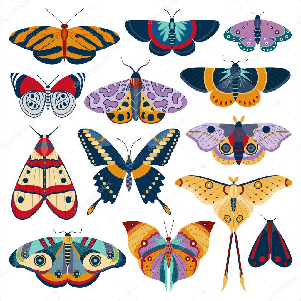 Tropic Butterfly and Exotic Moth Colored Set