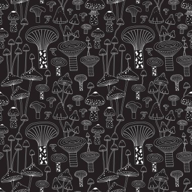 Monokrom Hattı Ormanı Kusursuz Mantar Örnekleri