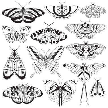 Monochrome Tropic Butterflies Silhouettes clipart