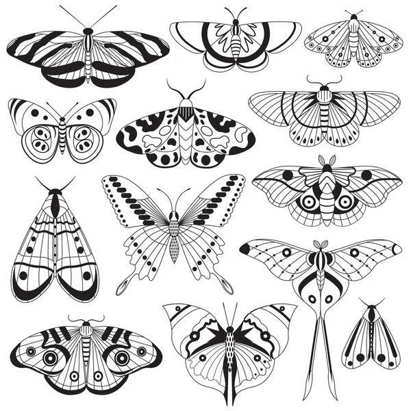 Silhouette di farfalle tropicali monocromatiche — Vettoriale Stock