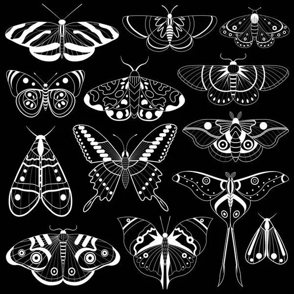 Monochrome Tropische Vlinders Silhouetten — Stockvector