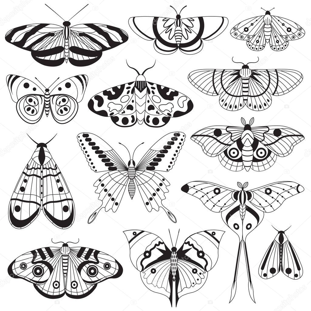 Monochrome Tropic Butterflies Silhouettes