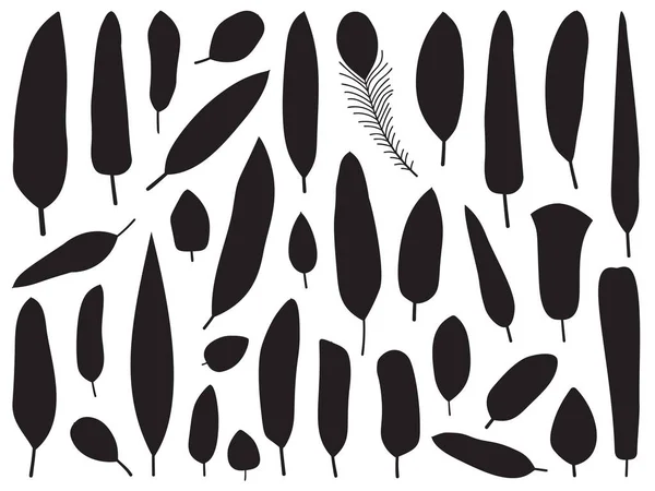 Schwarze und weiße Vogelfeder Silhouetten — Stockvektor