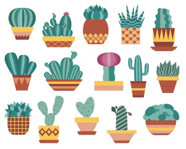 Ev İçi Kaktüs ve Düz Tasarım Seti