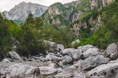 Arnavutluk Alpleri 'ndeki Theth Ulusal Parkı' ndaki Şala Nehri 'nin bulunduğu dağ manzarası, popüler seyahat beldesi. Sahne kayalık nehir yatağı, yoğun yaz bitkileri ve arka planda dağlar.