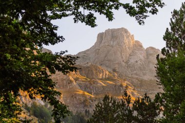Sabahın erken saatlerinde dağ manzarası altın güneş ışığı ve kozalaklı ağaçlarla aydınlatılmış engebeli dağ tepeleri. Arnavutluk Alplerindeki Theth Ulusal Parkı 'ndaki huzurlu manzara veya Lanetli Dağlar.