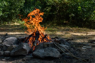 Barbekü ızgarası. Doğada, dışarıda, yakın.