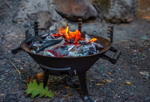 Barbecue grill with fire on nature, outdoor, close up