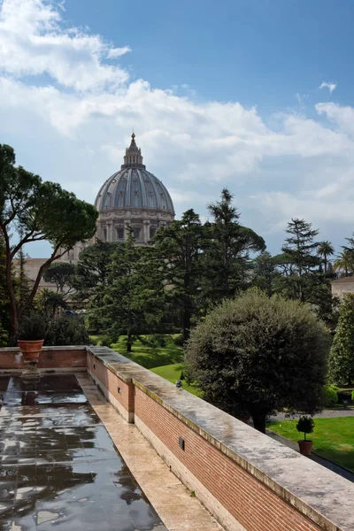 VATICANO - marzo, 2019: Vista de los jardines vaticanos con la cúpula de la Basílica de San Pedro detrás de los árboles, Vaticano, Roma — Foto de Stock