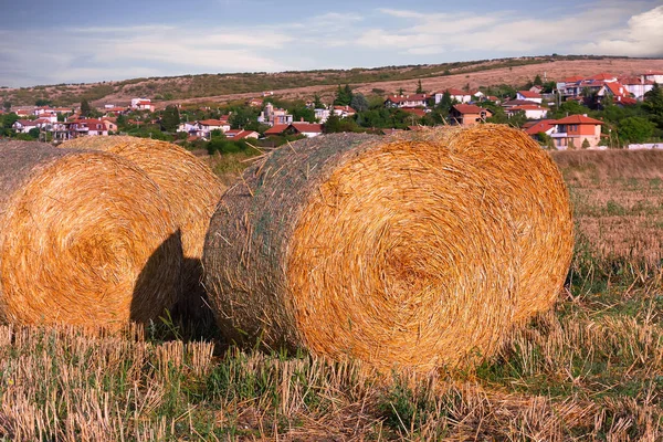 Fardos de heno en el campo después de la cosecha en la tarde soleada al atardecer —  Fotos de Stock