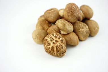 Taze Shiitake Mantar izole beyaz arka plan. (Lentinula edodes)