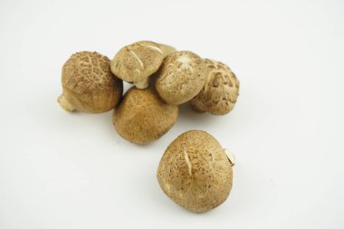 Taze Shiitake Mantar izole beyaz arka plan. Seçici Odak. (Lentinula edodes)