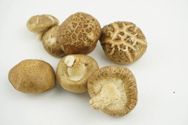Taze Shiitake Mantar izole beyaz arka plan. (Lentinula edodes)