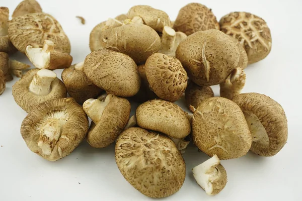 Fresh Shiitake Mushroom Isolated White Background Selective Focus Lentinula Edodes — Stock Photo, Image