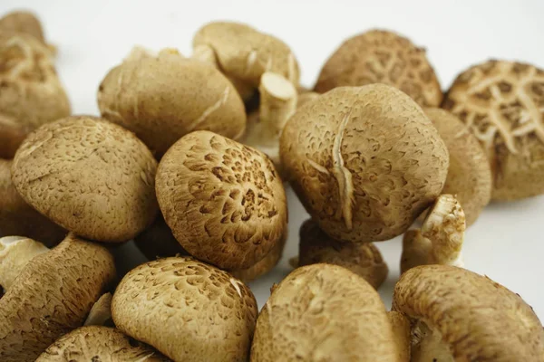 Close Fresh Shiitake Mushroom Isolated White Background Selective Focus Lentinula — Stock Photo, Image