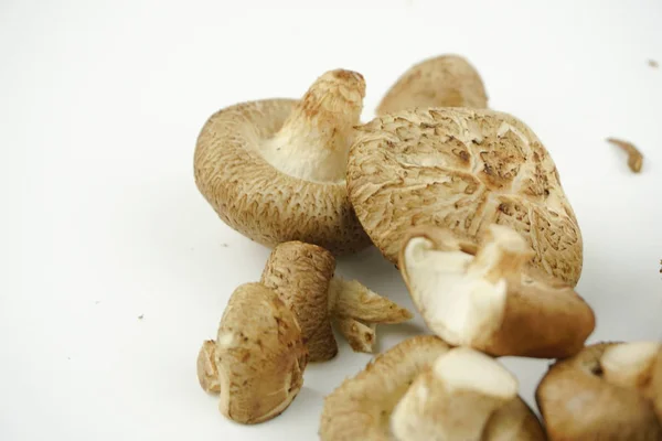 Closeup Fresh Shiitake Mushroom Isolated White Background Selective Focus Lentinula — Stock Photo, Image