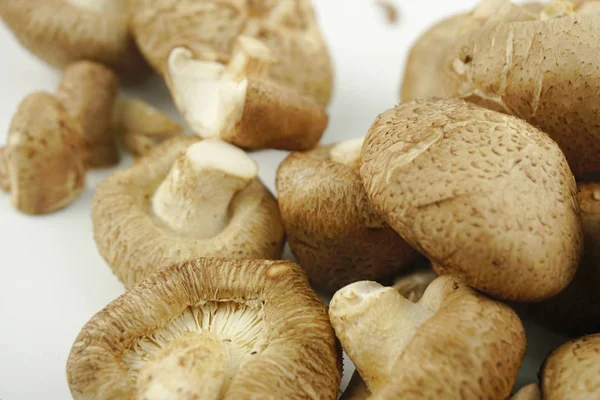 Closeup Fresh Shiitake Mushroom Isolated White Background Selective Focus Lentinula — Stock Photo, Image