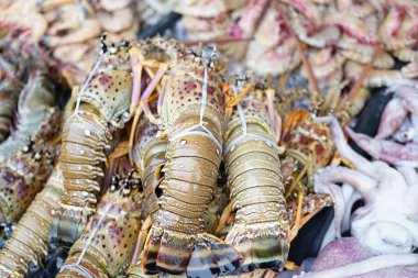 Sabah Yerel Pazarı'nda Taze Istakoz ve buz üzerinde deniz ürünleri