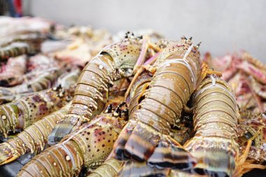 Sabah Yerel Pazarı'nda Taze Istakoz ve buz üzerinde deniz ürünleri