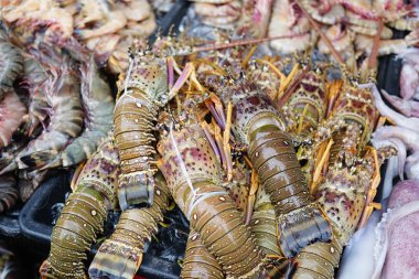Yerel Sabah Balık Pazarı'nda Buz üzerinde Lezzetli Taze Istakoz ve deniz ürünleri