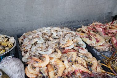 Yerel Deniz Ürünleri Pazarı'nda satılık buz üzerinde Taze Karides