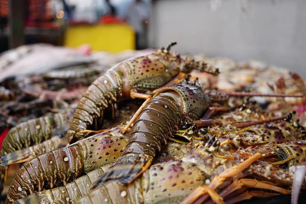 Yerel Sabah Balık Pazarı'nda Buz üzerinde Lezzetli Taze Istakoz ve deniz ürünleri