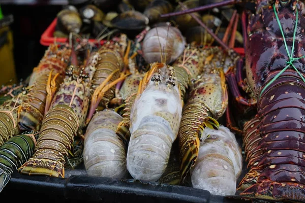 Yerel Sabah Balık Pazarı'nda Buz üzerinde Lezzetli Taze Istakoz ve deniz ürünleri