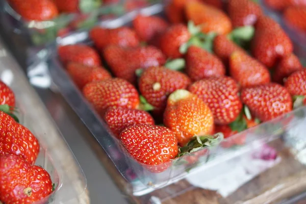 Cameron Highlands, Pahang Malezya'daki çiftlikte satışa sunulan taze hasat edilen organik çilekler