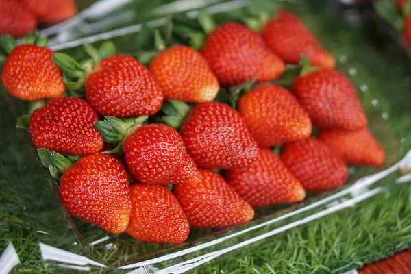 Olgun kırmızı taze topmuş çilek küçük kutular Yerel pazar standı satışa hazır. Seçici Odak