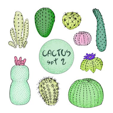 Renkli kaktüsler ayarla, el vektör çizim çekilmiş. Anahat kroki. Etli koleksiyonu.