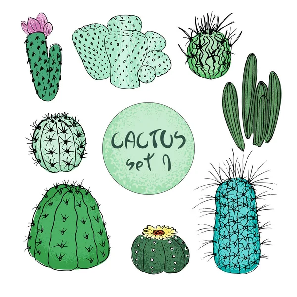 Set Cactus Colorati Illustrazione Vettoriale Disegnata Mano Schizzo Schizzo Raccolta — Vettoriale Stock