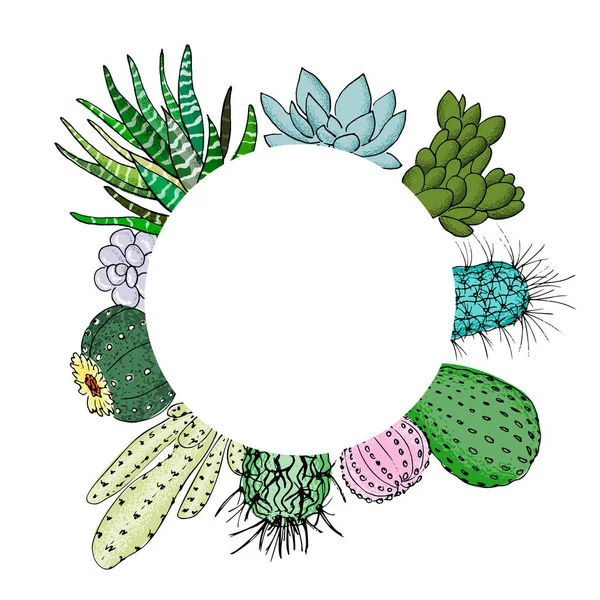 Saftiga cactus i cirkel rityta. Plats för text. Agave, aloe, gastraea, echeveria, Pachyphytum, fikonkaktus — Stock vektor