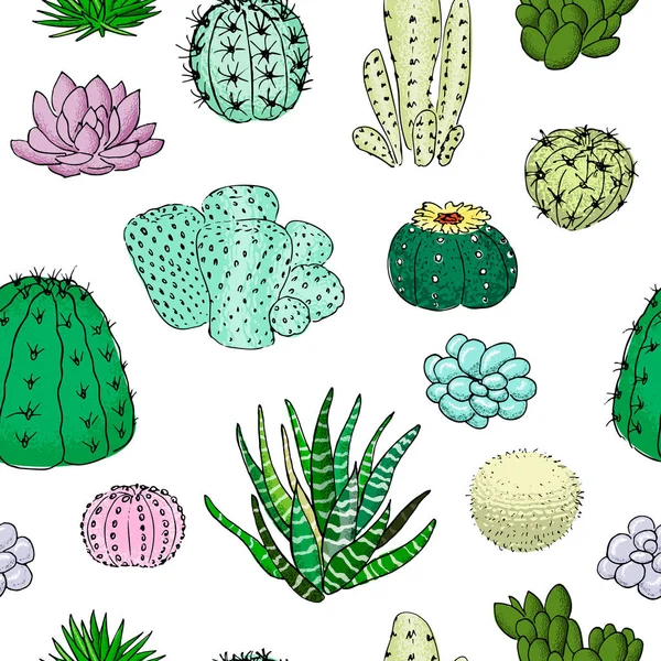 Färgade kaktusar sömlösa mönster, hand dras vektorillustration. Saftiga samling. n — Stock vektor