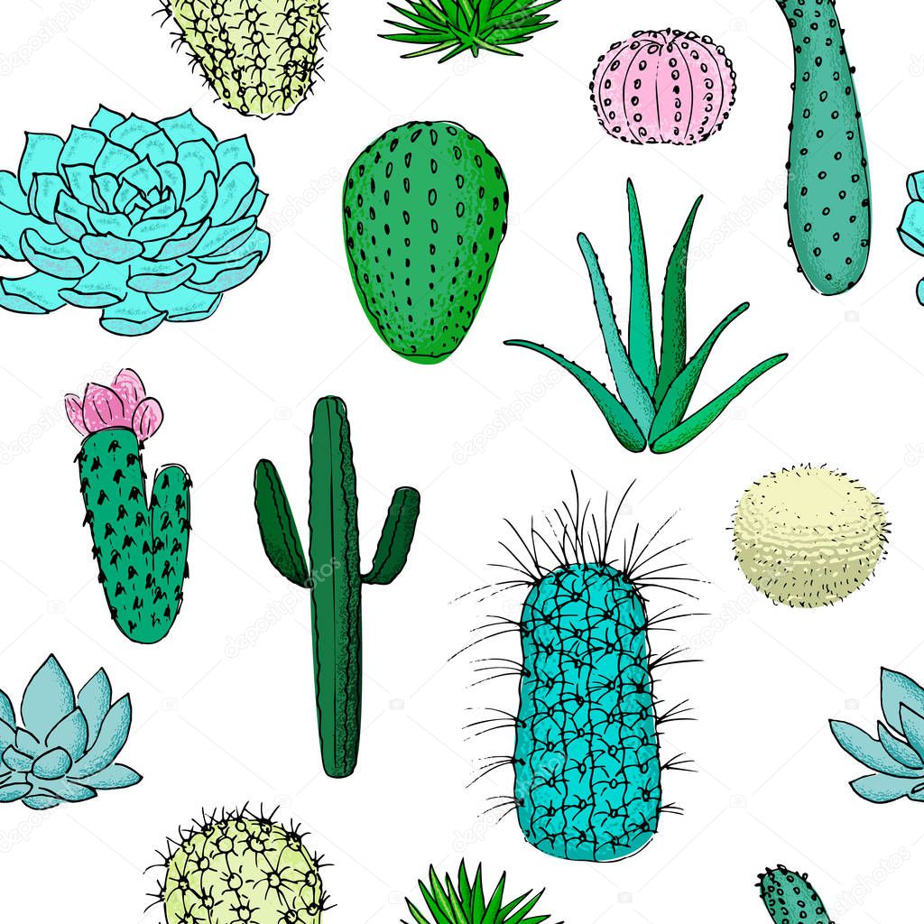 Colored cactuses seamless pattern, hand drawn vector illustration. Succulent collection. n