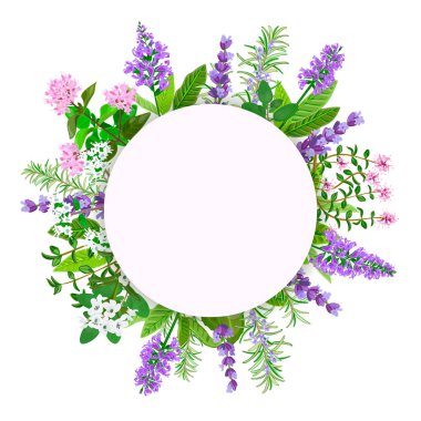 Herbes de Provence geleneksel karışımı. Bir grup Fransız mutfağı otlar. Kozmetik, Restoran, mağaza, market, doğal sağlık ürünleri için tasarım. Logo tasarımı, fiyat etiketi, etiketi, web kullanılabilir