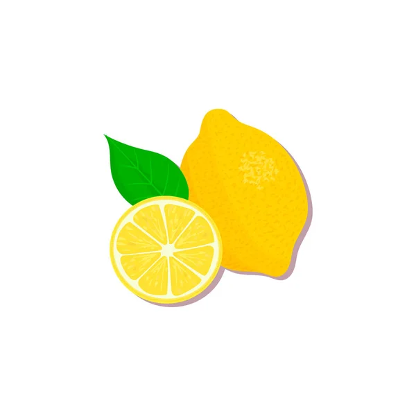 Цитрусовые Изделия Апельсин Лимон Лайм Бергамот Мандарин Грейпфрут Листьями Векторный — стоковый вектор