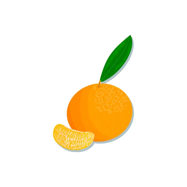 Agrumi Arancia Limone Lime Bergamotto Mandarino Pompelmo Con Foglie Set — Vettoriale Stock