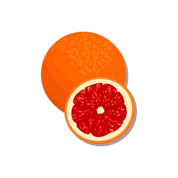 Zitrusfrüchte Orange Zitrone Limette Bergamotte Mandarine Grapefruit Mit Blättern Vektorsatz — Stockvektor