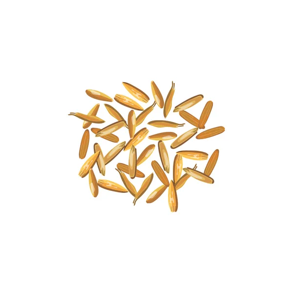 Orzo Cereali Diversi Tipi Grano Illustrazione Vettoriale Eps — Vettoriale Stock